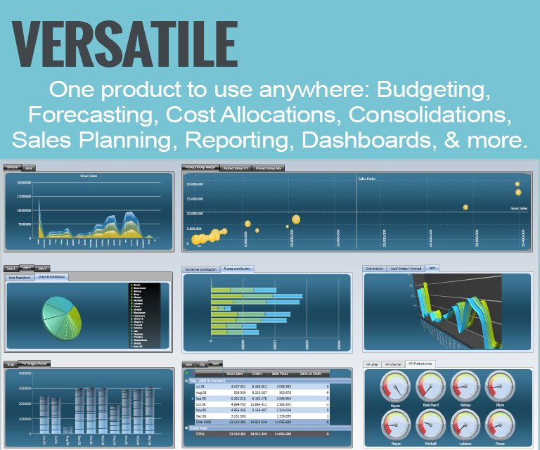 screenshot of Neubrain Budgeting